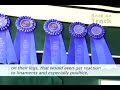 Top Equestrians unbridle the secrets to Back On Track Top Equestrians unbridle the secrets to Back On Track