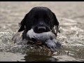 Hunting Season 2007 