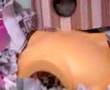ぐりとぐら動画1