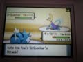 flashfox vs jibaku  (Pokemon Diamond Pearl Wifi Battle )