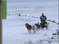 The Dogs of El Niņo - Trailer The Dogs of El Niņo - Trailer