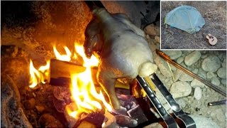 今夜は鳥の丸焼きです!!青梅でソロキャンプ、ヘビトンボ、オニチョロ虫もいただきます