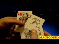 Q-REWERS-MAGICOSIDY