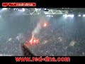red dna osfp pao 4-0