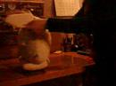 waka laka for white mokona
