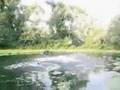 drole-de-video