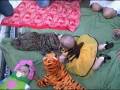 videos de Halloween buds