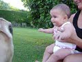 Mastiff con Catalina Badano Mastiff con Catalina Badano