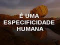 Pedagogia da  Autonomia - Paulo Freire - By Coimbra Jones