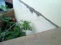 Foto v�deo