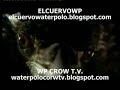 Barcelona - Vasas European Cup 1984 water polo