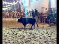 Largada Afonsoeiro 08  Cultura Portuguesa