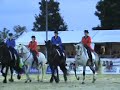 Gala- Donaueschingen