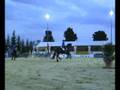 Gala- Donaueschingen