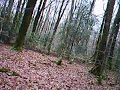 Sortie VTT Allogny 26-11 J\