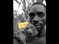 Terry Lynn \"Kingston Logic\" (Phree Music) Terry Lynn \"Kingston Logic\" (Phree Music)