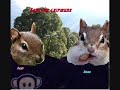 Tery and Bobo the chipmunk