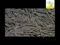 Cigarro (cigarrete)