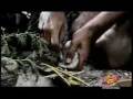 videos de adam and eve.wmv