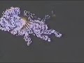 Filmation JLA cartoon intro