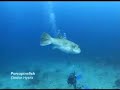 Explore Redang Island Part 1 of 2
