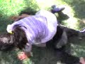 NIÑAS PELEANDO YAUTE