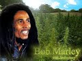 R.I.P bob marley