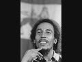 R.I.P bob marley