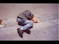 Grateful Dead - Wharf Rat 7/18/1976 Grateful Dead - Wharf Rat 7/18/1976