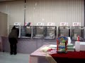 CFA ACE Cat Fanciers