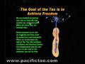 Mantak Chia DVD Taoist Basic Training Clip 1