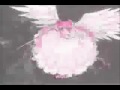 sailor moon   dreamland