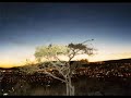 EN GUANATOS - EL SAN - EL PROMO EN GUANATOS - EL SAN - EL PROMO