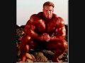 Bodybuilding-tribute