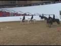 Costarricense-Paso at the Texas Horse Expo. 2008 Costarricense-Paso at the Texas Horse Expo. 2008