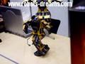 Robonova-Robot-Perfo