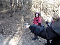 Feeding Chickadees on Sasparilla Trail - Kanata