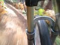 Rock Shox BoXXer - Kinver Downhill
