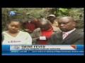 Swine fever breakout in Muranga County