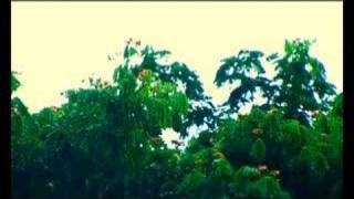  จินตนาการ  หนังสั้น FATFILM#5
