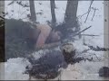 A day in the life 10,000 BC