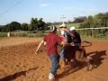 Montaria Villa S�o Jorge: Musquito x Vem ne min