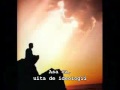terence mckenna - understanding yourself.avi