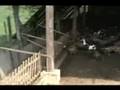 Tarlac College of Agriculture Part 1