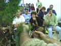 IX EXPOSICION INVERNAL DE BONSAI SEVILLA 2005