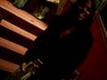 Angelica`s b-day