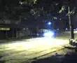 mulheres mijando na rua