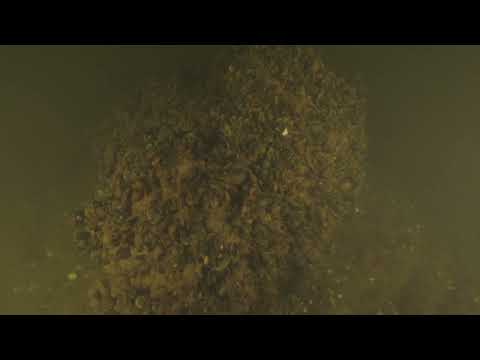 17th c. wreck laden with lime found on Lübeck riverbed