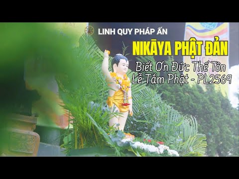 NIKAYA Phật Đản - Biết Ơn Đức Thế Tôn & Lễ Tắm Phật - PL2569 *