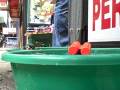 videos de Nov 27 2008 - novelty shop by Port Authority